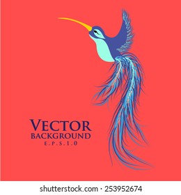 Vector graceful hummingbird or colibri. Fashionable design eps10.