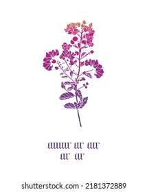 Vector gradient floral tree branch silhouette on white. Elegant graphic design  Symbol element. Great for  all uses
