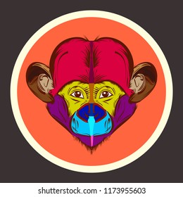 vector, grafic, design