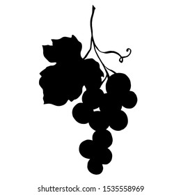 Vector Grape berry healthy food. Black and white engraved ink art. Isolated grapes illustration element. Black silhouette illustration shape outline.