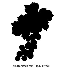 Vector Grape berry healthy food. Black and white engraved ink art. Isolated grape illustration element on white backgraund.
