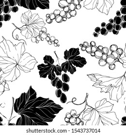 Vector Grape berry healthy food. Black and white engraved ink art. Seamless background pattern. Fabric wallpaper print texture.