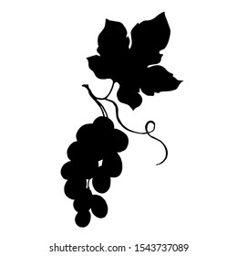 Vector Grape berry healthy food. Black and white engraved ink art. Isolated grapes illustration element. Black silhouette illustration shape outline.