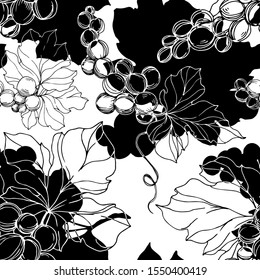 Vector Grape berry healthy food. Black and white engraved ink art. Seamless background pattern. Fabric wallpaper print texture.