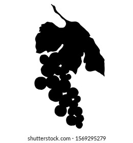 Vector Grape berry healthy food. Black and white engraved ink art. Isolated grape illustration element on white backgraund.
