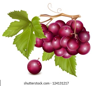 Vector. Grape cluster with green leaves. svg