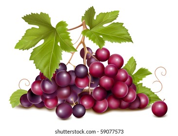 Realistic Grape Images Stock Photos Vectors Shutterstock