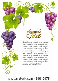 Vector grape frame 3