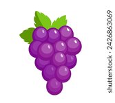 Vector grape icon, illustration of purple fruit with leaf isolated of white background, wine grape logo symbol in flat cartoon style
