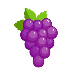 Vector Grape Icon, Illustration Of Purple Fruit With Leaf Isolated Of White Background, Wine Grape Logo Symbol In Flat Cartoon Style
