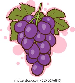 Vector grape icon, illustration of purple fruit with leaf isolated of white background, wine grape logo symbol in flat cartoon style