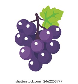 Vector grape icon, illustration of purple fruit with leaf isolated of white background, wine grape logo symbol in flat cartoon style, Bunch of wine grapes with leaf flat purple vector icon