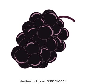 Vector grape icon, purple fruit illustration isolated on white background, grape logo symbol in flat cartoon style.