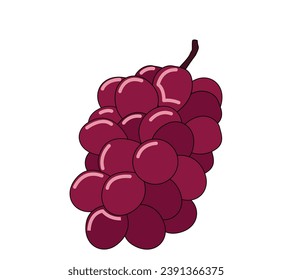 Vector grape icon, purple fruit illustration isolated on white background, grape logo symbol in flat cartoon style.