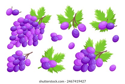Ilustración de uva de Vector. Manojo de uvas con hoja. Uvas con hojas verdes sobre fondo blanco. Boceto de uvas para el diseño de tarjetas de visita e invitaciones