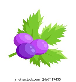 Vector grape illustration. Bunch of grapes with leaf. Grapes with green leaves on white background. Sketch of grapes for design of business cards and invitations