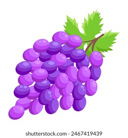 Vector grape illustration. Bunch of grapes with leaf. Grapes with green leaves on white background. Sketch of grapes for design of business cards and invitations