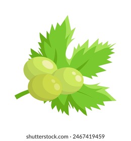 Ilustración de uva de Vector. Manojo de uvas con hoja. Uvas con hojas verdes sobre fondo blanco. Boceto de uvas para el diseño de tarjetas de visita e invitaciones