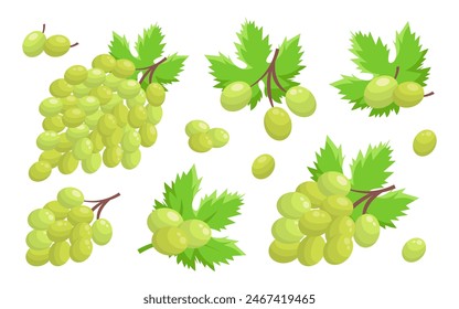 Vector grape illustration. Bunch of grapes with leaf. Grapes with green leaves on white background. Sketch of grapes for design of business cards and invitations