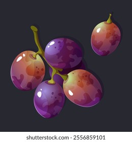 Vector grape illustration. Purple fruit