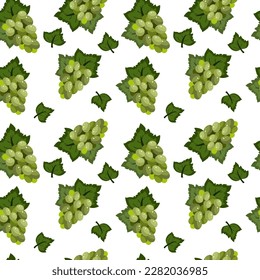 Vector grape twig seamless pattern. Vector illustration