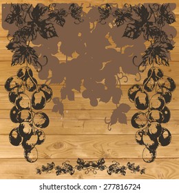 vector  grape wine background  hand-drawn sketch
