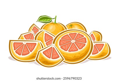 Vector Grapefruit Pile, horizontal decorative poster with cartoon design refreshing grapefruit composition, outline illustration of group chopped parts and whole rose grapefruits on white background