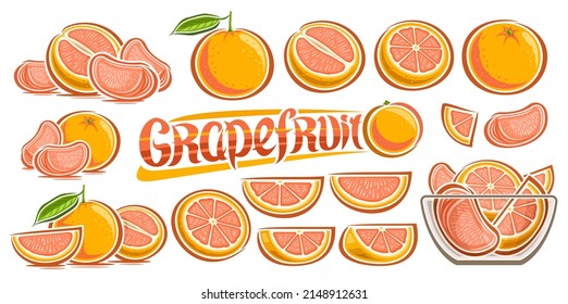 Vector Grapefruit Set, horizontal banner with lot collection of cut out illustrations grapefruit still lifes with green leaves, many different chopped ripe fruits in glass plate and word grapefruit