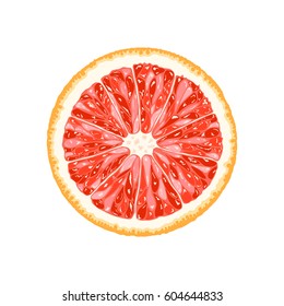 Vector grapefruit slice. Illustration of citrus
