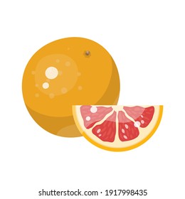 Vektorgrapefruits. Ganz und geschnitten. Einzeln auf weißem Hintergrund