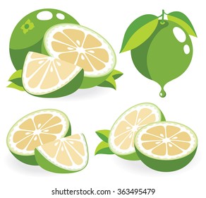 Vector grapefruits. Whole and cut white (green) grapefruits isolated on white background, collection of vector illustrations