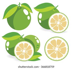 Vector grapefruits. Whole and sliced white grapefruits, collection of vector illustrations