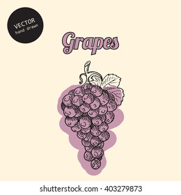 Vector grapes. Background consist of grapes. Sketch art style.