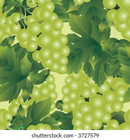 Vector grapes background (seamless pattern)