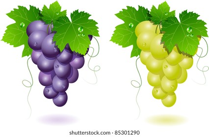 Grappe Raisin Vigne Hd Stock Images Shutterstock