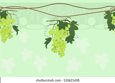 vector grapes border on green background