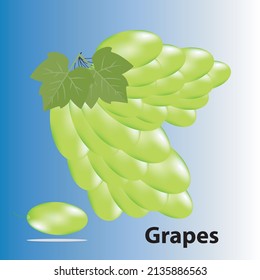 vector Grapes design template element