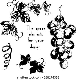 Vector grapes element with hand drawn art for your design