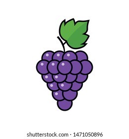 vector grapes. grapes icon, vector fruit illustration, nature wine