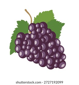 Ilustração de Uvas Vetoriais - Cacho de Uva de Vinho Fresco, Design Plano Editável, Gráfico de Fruta de Vinho para Marcas de Vinhedos, Etiqueta de Vinho, Embalagem de Alimentos Orgânicos, Ícone de Agricultura Botânica, Arte Vetorial Moderna Isolada
