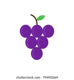 vector grapes - nature illustration
