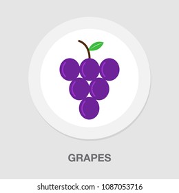 vector grapes - nature illustration, fruit symbol - wine icon