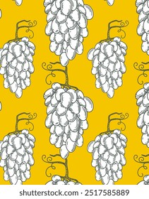 Vetor uva padrão sem costura. Estampagem de contorno de outono. Muitos cachos de bagas grandes. Arte da comida desenhada à mão. Fundo natural do outono. Elemento plano para embalagem de vinho, publicidade de bebidas, design de marca 