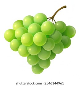 Vector Uvas. conjunto de uvas ilustración verde. fruta aislada sobre fondo blanco