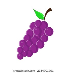 Vector grapes that are purple in color and look fresh and tasty