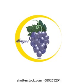 Vector grapes.Flat style. Illustration with fruit.