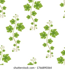 Vector grapevine seamless pattern on a white background.