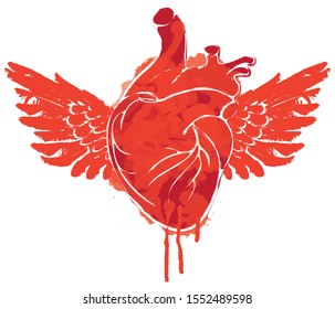 Vector graphic abstract illustration of human heart with wings isolated on white background. Red flying heart with ink blots, bloody drops and drips. Graffiti, tattoo, t-shirt design template