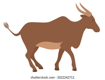Vector gráfico africano antiguo burro pardo ilustración de fondo blanco