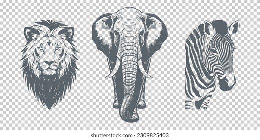 Vector graphic African animals on an isolated background. Lion, elephant and zebra. Zoo.